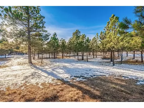 18325 Forest View Rd, Monument, CO 80132 photo 8