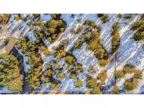 18325 Forest View Rd, Monument, CO 80132 photo 23