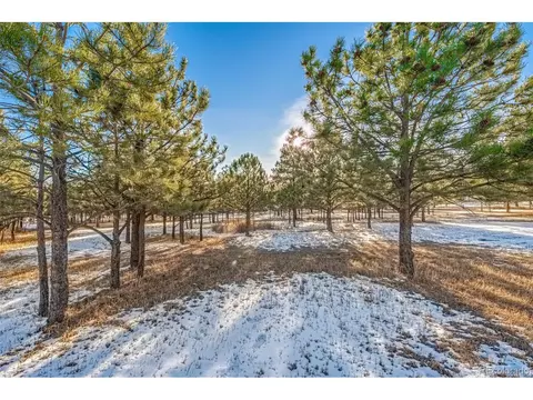 18325 Forest View Rd, Monument, CO 80132 photo 13
