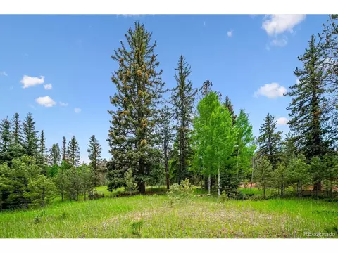 12588 S Parker Ave, Pine, CO 80470 photo 24