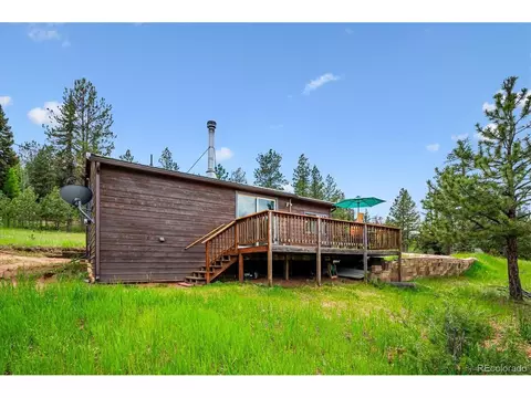 12588 S Parker Ave, Pine, CO 80470 photo 20