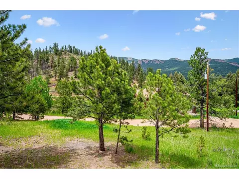 12588 S Parker Ave, Pine, CO 80470 photo 18