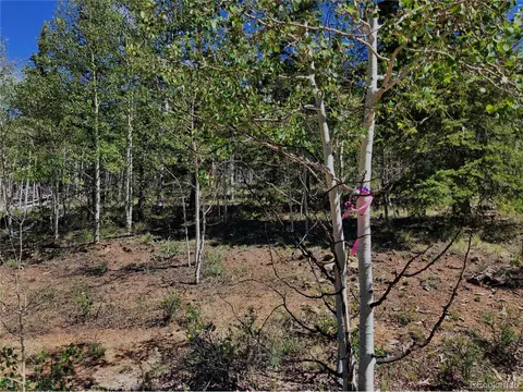 112 Haida Cir, Como, CO 80432 photo 8
