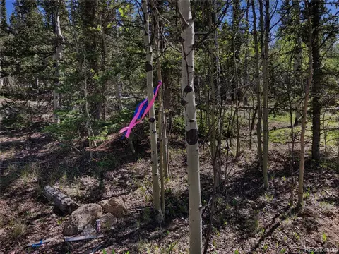 112 Haida Cir, Como, CO 80432 photo 9