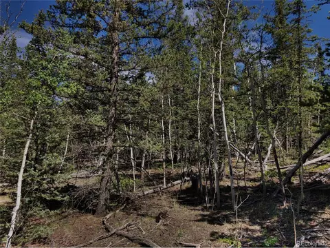 112 Haida Cir, Como, CO 80432 photo 4