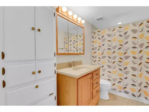 17275 E Brown Cir, Aurora, CO 80013 photo 19