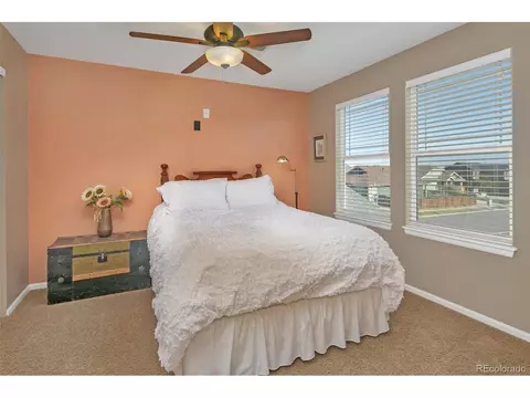 8003 E 134th Pl, Thornton, CO 80602 photo 26