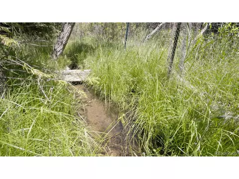 16468 Ouray Rd, Pine, CO 80470 photo 35