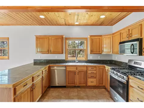 16468 Ouray Rd, Pine, CO 80470 photo 8