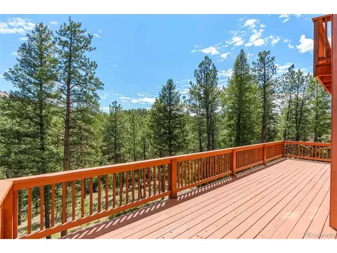 16468 Ouray Rd, Pine, CO 80470 photo 13