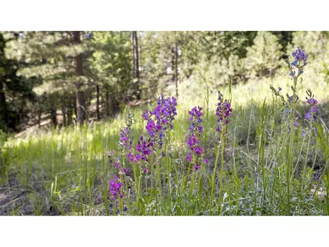 16468 Ouray Rd, Pine, CO 80470 photo 36
