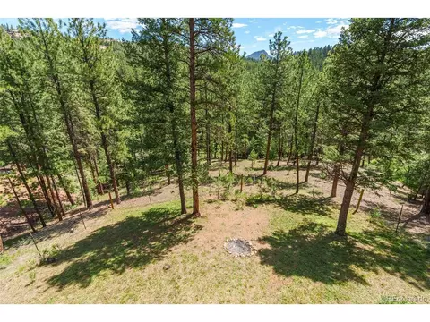 16468 Ouray Rd, Pine, CO 80470 photo 34