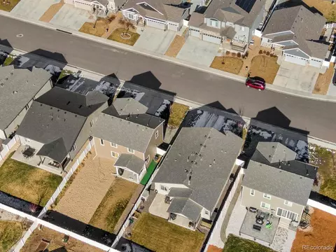1807 Paley Dr, Windsor, CO 80550 photo 38