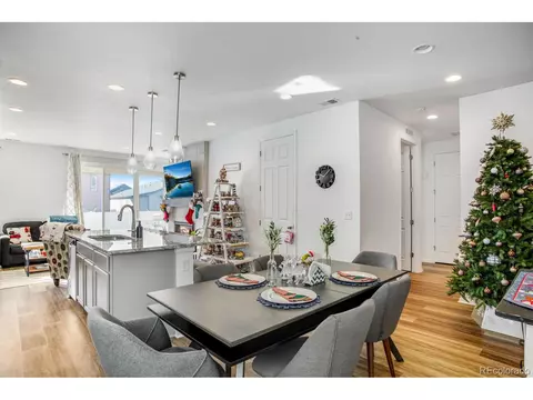 1807 Paley Dr, Windsor, CO 80550 photo 7