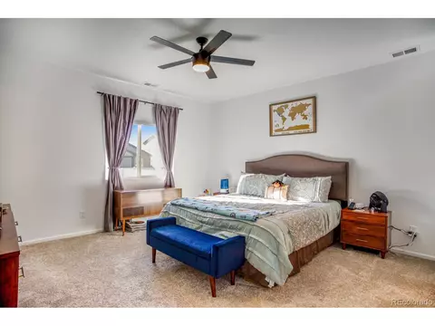 1807 Paley Dr, Windsor, CO 80550 photo 19