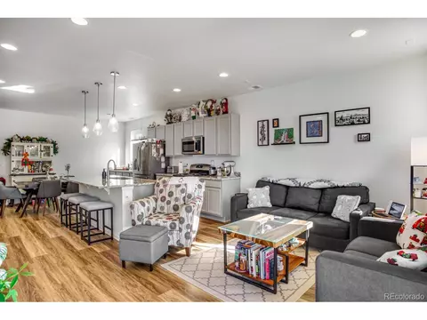 1807 Paley Dr, Windsor, CO 80550 photo 18
