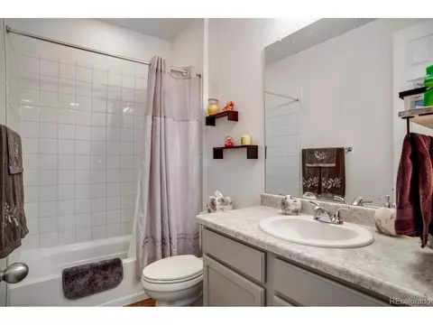 1807 Paley Dr, Windsor, CO 80550 photo 26
