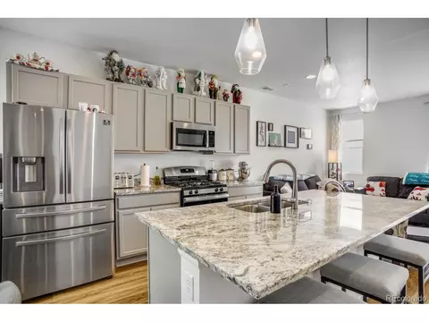 1807 Paley Dr, Windsor, CO 80550 photo 9