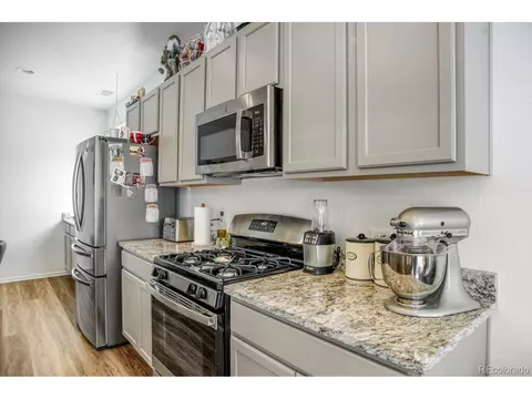 1807 Paley Dr, Windsor, CO 80550 photo 12