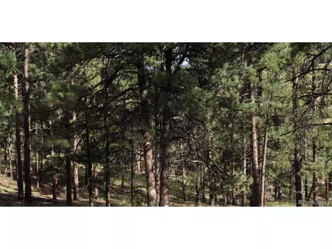 60 Eagle Vista Dr, Westcliffe, CO 81252 photo 29