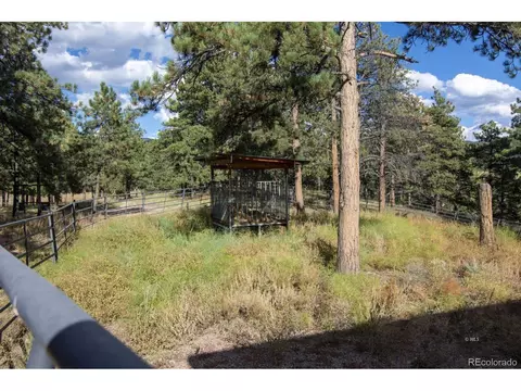 60 Eagle Vista Dr, Westcliffe, CO 81252 photo 28