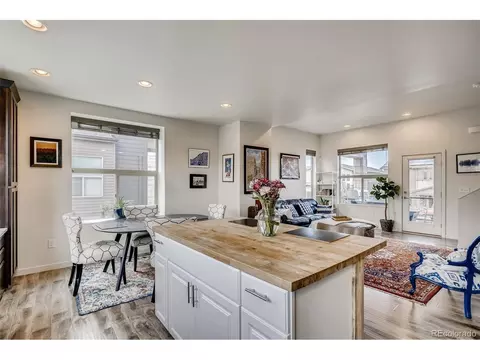 9042 E 50th Dr, Denver, CO 80238 photo 17