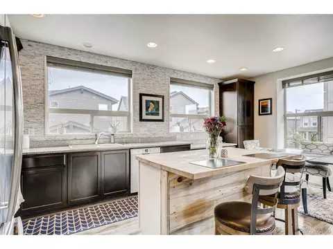 9042 E 50th Dr, Denver, CO 80238 photo 15