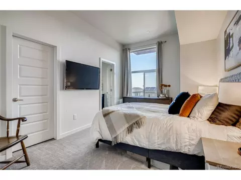 9042 E 50th Dr, Denver, CO 80238 photo 19