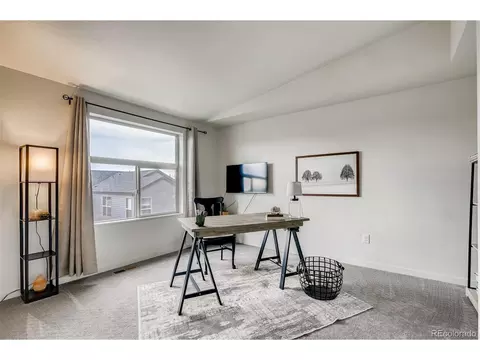9042 E 50th Dr, Denver, CO 80238 photo 24