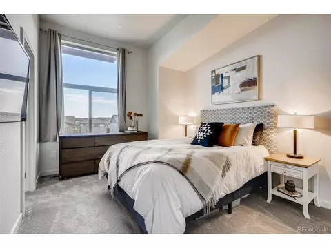 9042 E 50th Dr, Denver, CO 80238 photo 20