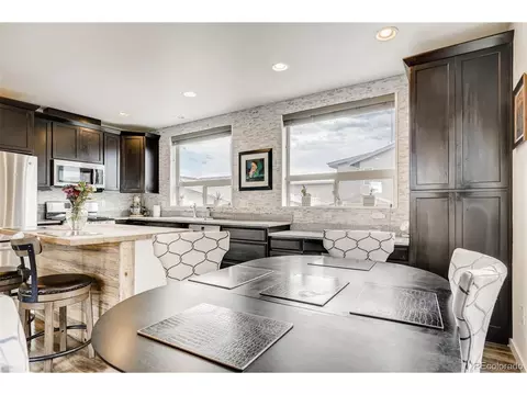 9042 E 50th Dr, Denver, CO 80238 photo 13