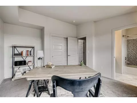 9042 E 50th Dr, Denver, CO 80238 photo 26