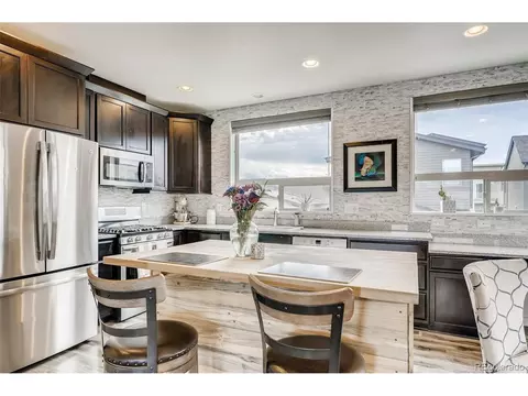 9042 E 50th Dr, Denver, CO 80238 photo 14