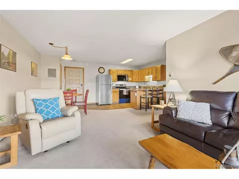 Living - Undisclosed, Silverthorne, CO 80498 photo 3 of 4