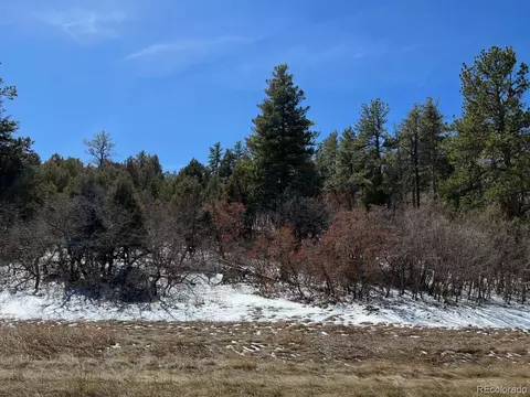 4492 Comanche Dr, Larkspur, CO 80118