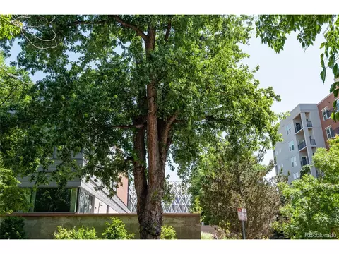 2215 E 11th Ave, Denver, CO 80206 photo 22