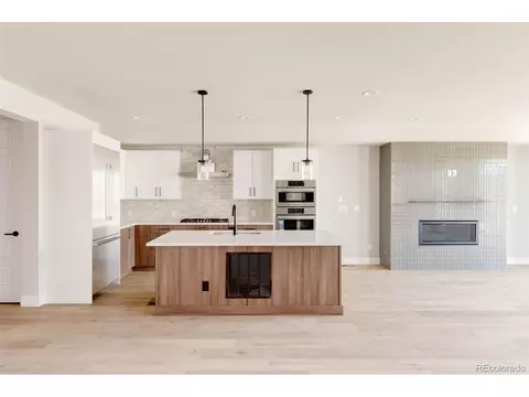 6222 Galena St, Denver, CO 80238 photo 3