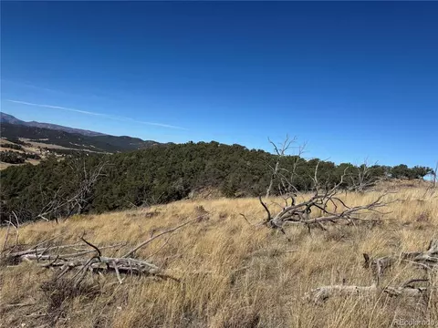 0 G Path, Cotopaxi, CO 81223 photo 25