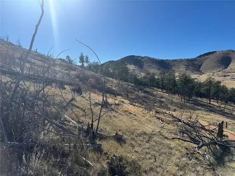 0 G Path, Cotopaxi, CO 81223 photo 36