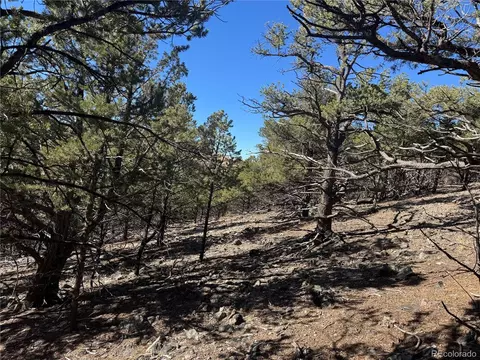 0 G Path, Cotopaxi, CO 81223 photo 14