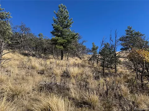 0 G Path, Cotopaxi, CO 81223 photo 20