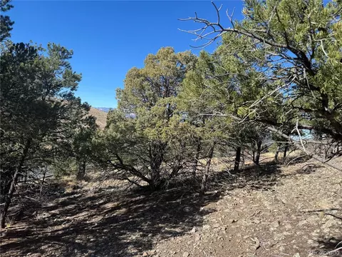 0 G Path, Cotopaxi, CO 81223 photo 13