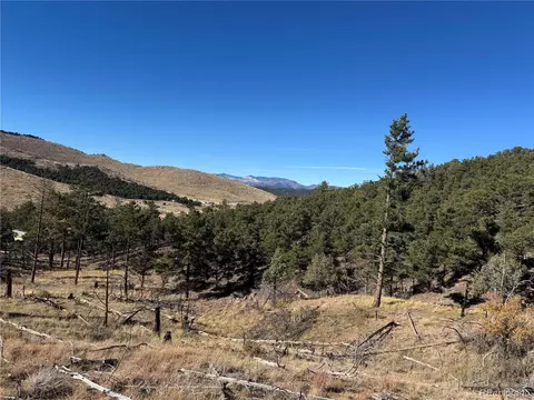 0 G Path, Cotopaxi, CO 81223 photo 21