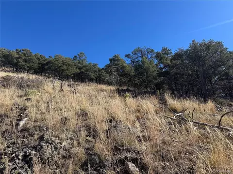 0 G Path, Cotopaxi, CO 81223 photo 3