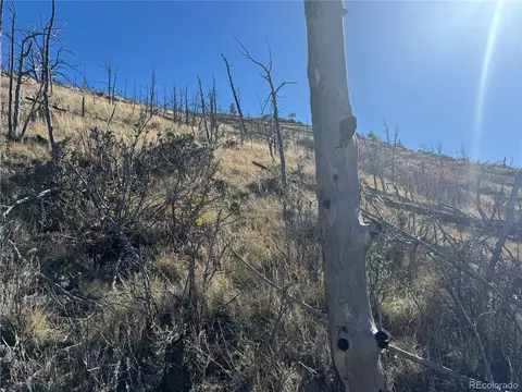 0 G Path, Cotopaxi, CO 81223 photo 37