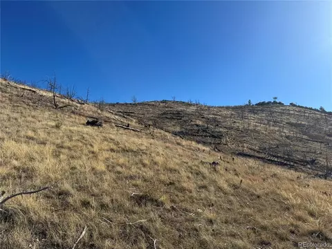 0 G Path, Cotopaxi, CO 81223 photo 38