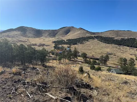 0 G Path, Cotopaxi, CO 81223 photo 6