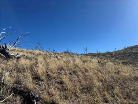 0 G Path, Cotopaxi, CO 81223 photo 27
