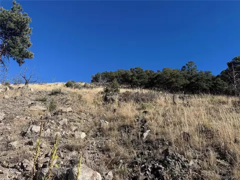 0 G Path, Cotopaxi, CO 81223 photo 4