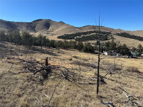 0 G Path, Cotopaxi, CO 81223 photo 35